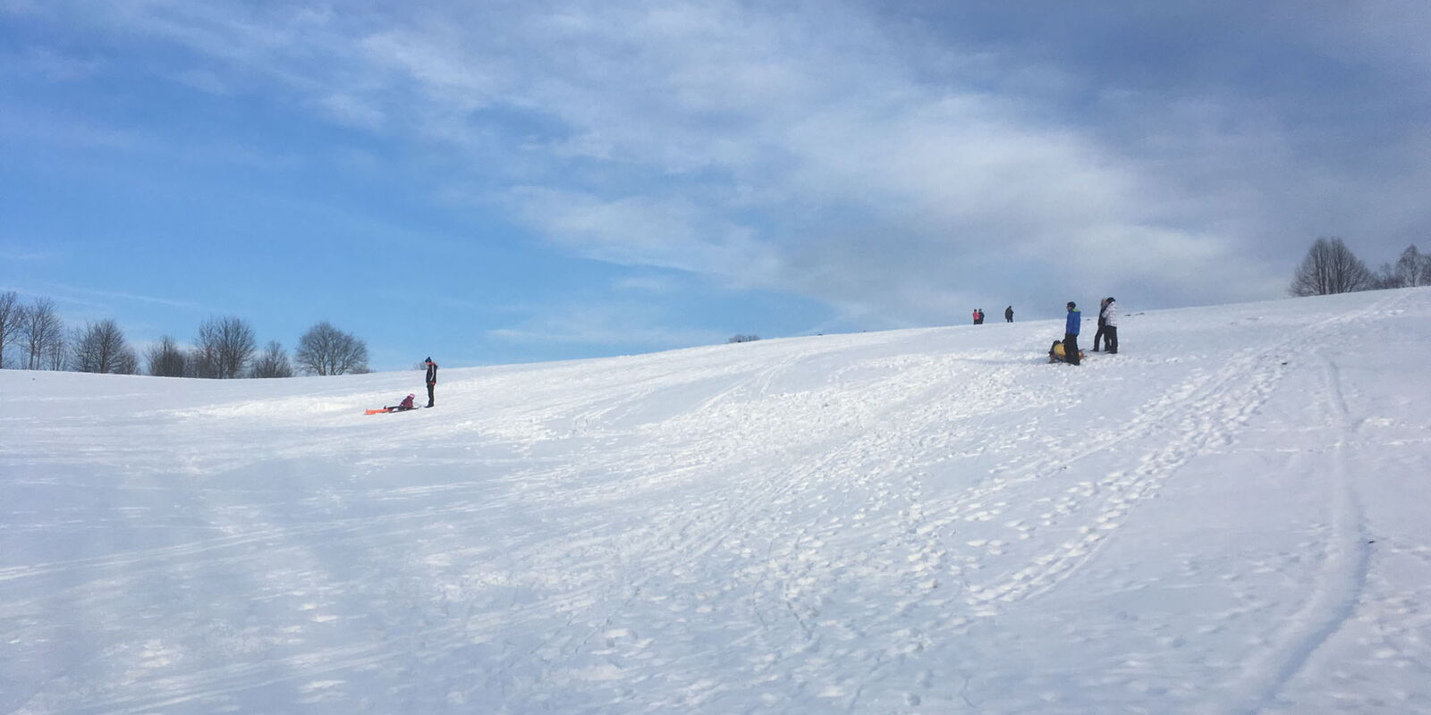 Schlittenfahren bei sonnigem Winterwetter in Brotterode