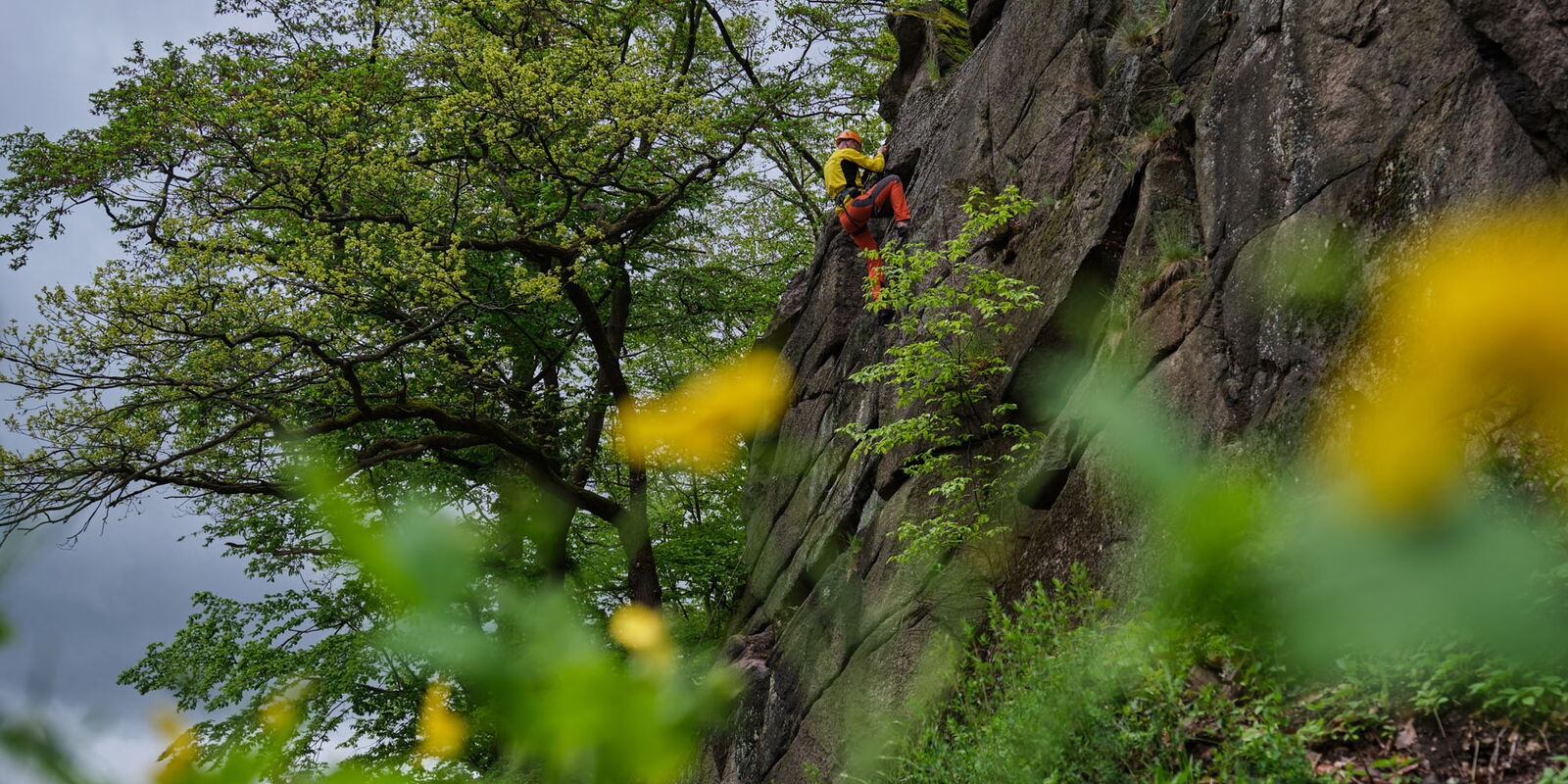 Boulderer im Klettergebiet "Trusetaler Hauptgang"