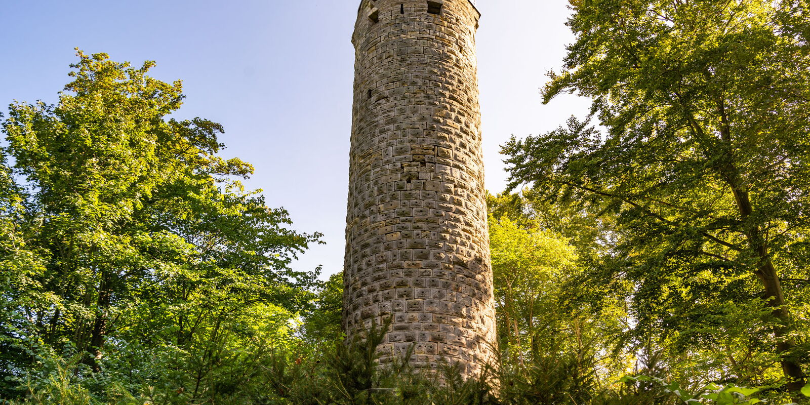 der Wallenburger Turm ragt zwischen Bäumen hervor