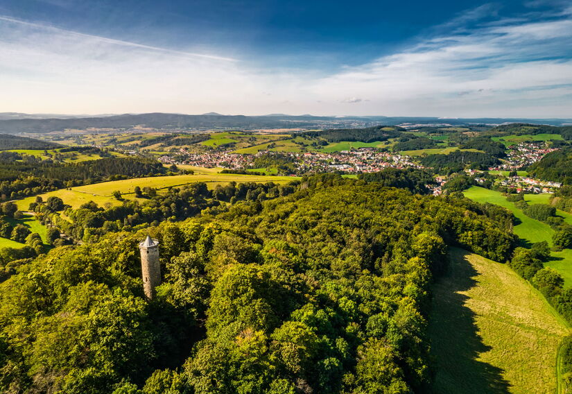 Wald mit Blich auf Turm